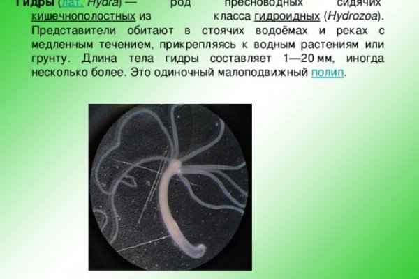 Как закинуть деньги на кракен