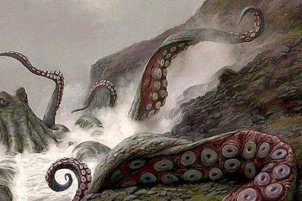 Kraken 12 at