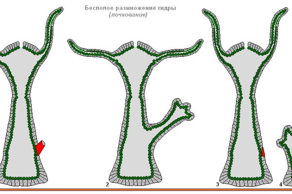 Сайт кракен kraken krakens15 at