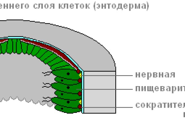 Кракен сайт ссылка тор браузере