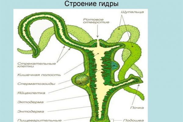 Кракен сайт официальный ссылка kraken clear com